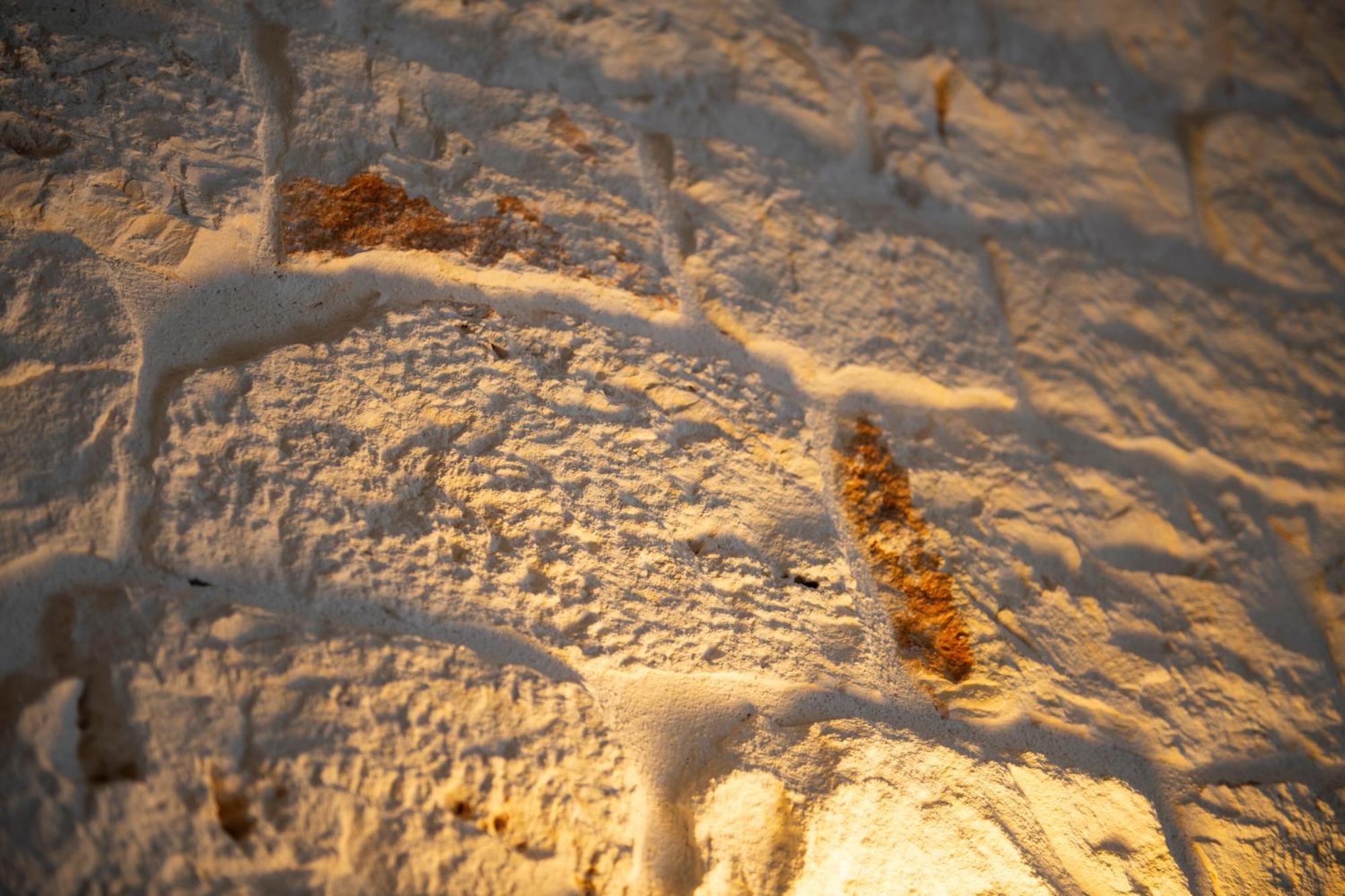 Trulli Magravi - Apparthotel อัลเบโรเบลโล ภายนอก รูปภาพ